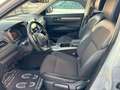 Renault Koleos 2,0 dCi Life Allrad Automatik 177PS PICKERL 01/27 Weiß - thumbnail 13
