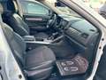 Renault Koleos 2,0 dCi Life Allrad Automatik 177PS PICKERL 01/27 Weiß - thumbnail 10