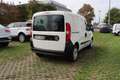 Fiat Doblo Basis Kasten Weiß - thumbnail 5