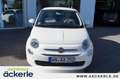 Fiat 500 Lounge City-Paket I Komfort-Paket I Einparkhilfe I Bianco - thumbnail 8