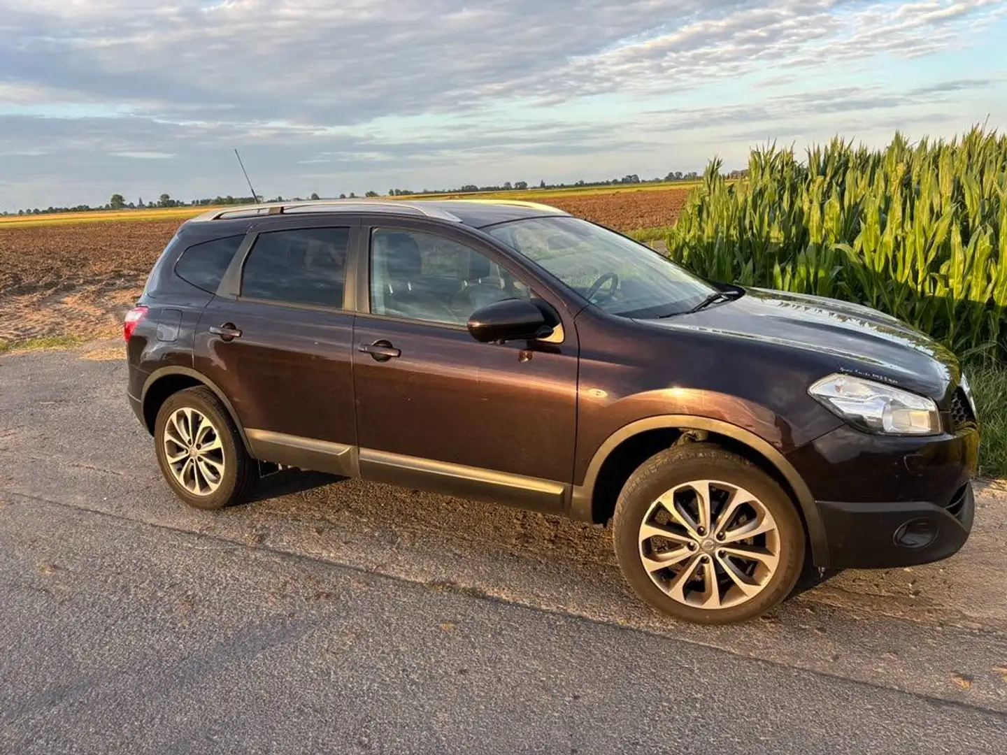 Nissan Qashqai+2 1.5 dCi* 7 pl* pano dak* 360 camera* trekhaak* gps Paars - 1