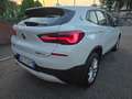 BMW X2 16d sdrive Mesh Edition Bianco - thumbnail 4