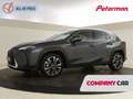 Lexus UX 300h Business Line | Blindspot | Parkeersensoren V+A Grau - thumbnail 1