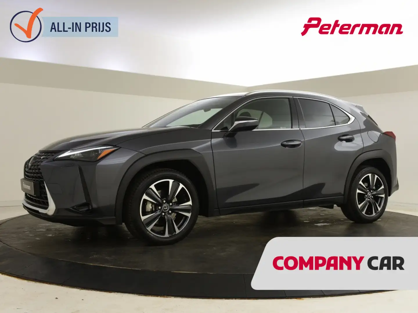 Lexus UX 300h Business Line | Blindspot | Parkeersensoren V+A Grau - 1