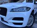 Jaguar F-Pace Prestige 2.0 E-Performance Blanc - thumbnail 20