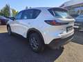 Mazda CX-5 e-Skyactiv 2,5 G141 MHEV Prime-Line Automatik L... Weiß - thumbnail 5