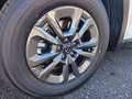 Mazda CX-5 e-Skyactiv 2,5 G141 MHEV Prime-Line Automatik L... Weiß - thumbnail 21