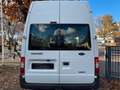 Ford Transit Kasten FT 350L*STANDHEIZUNG*KLIMA* Blanc - thumbnail 7