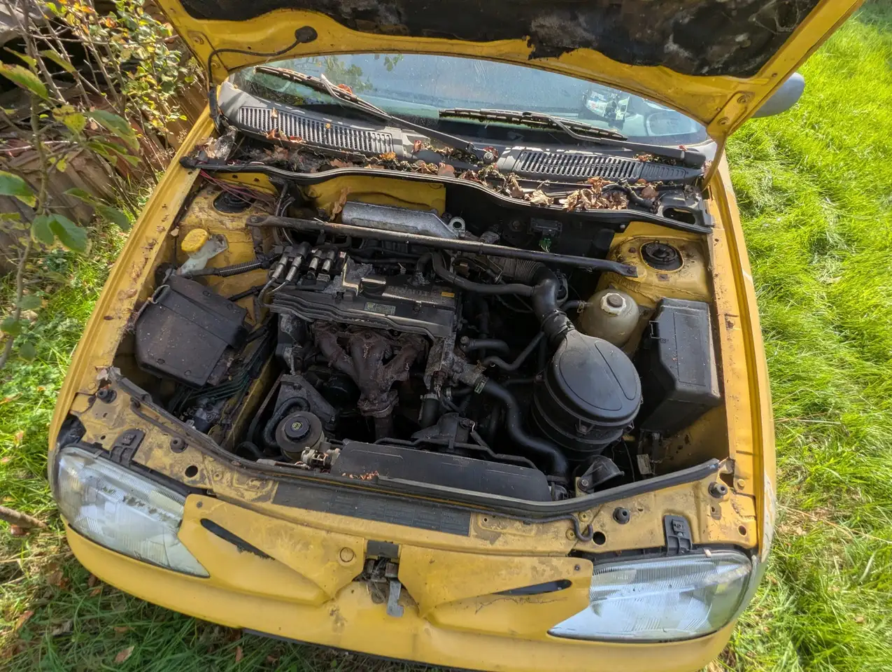 Renault Megane 1.6e, foto 6