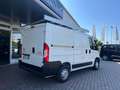 Citroen Jumper Furgone 33  L1H1 BlueHDi 140 + IVA ! Bianco - thumbnail 6