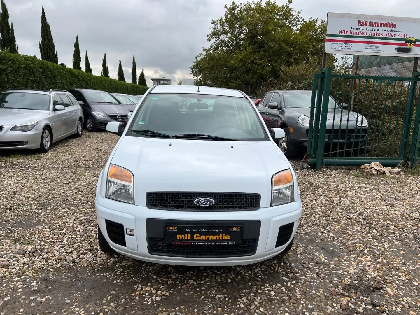 Ford Fusion 1,25 Style Weiß - 2