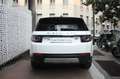 Land Rover Discovery Sport 2.0 td4 HSE awd 180cv auto-Tetto-Pelle-Camera-Navi Bianco - thumbnail 5