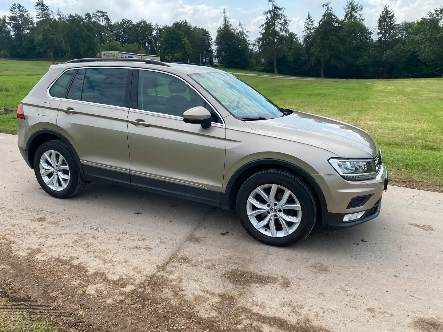 Volkswagen Tiguan Comfortline BMT/Start-Stopp 4Motion.Xenon.DSG Oro - 1