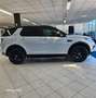Land Rover Discovery Sport 2.0 td4 HSE awd 180cv auto MOTORE NUOVO Fehér - thumbnail 4