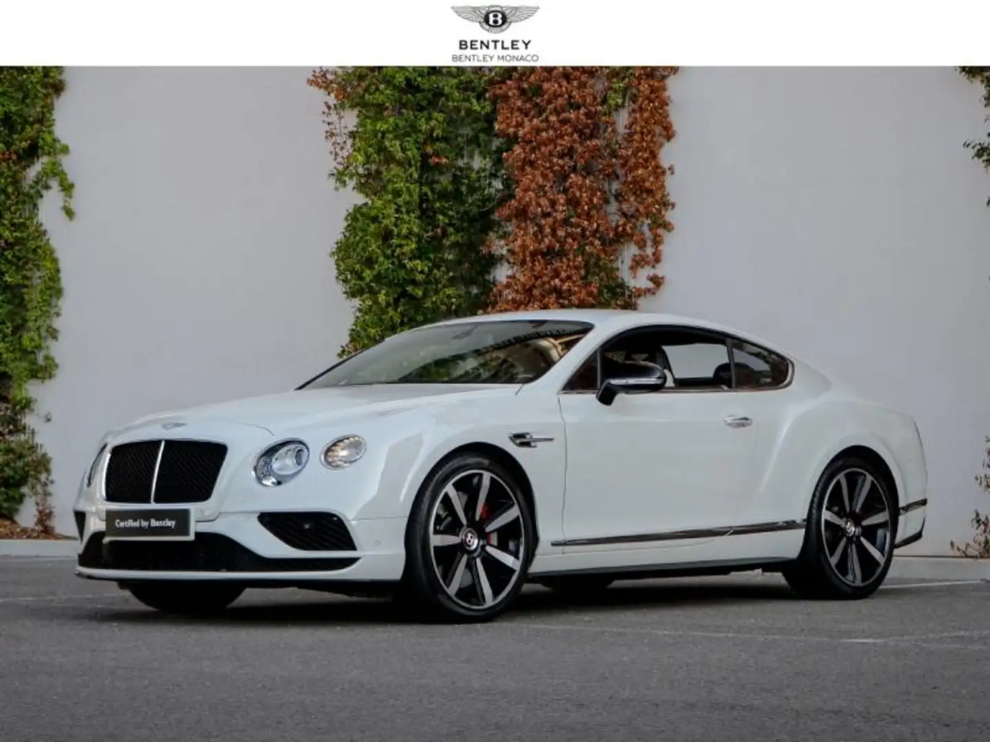 Bentley Continental GT S V8 4.0 528ch Blanc - 1