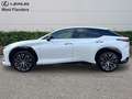 Lexus RZ Privilege Line + Dimming Panor Wit - thumbnail 5