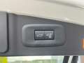 Lexus RZ Privilege Line + Dimming Panor Wit - thumbnail 27