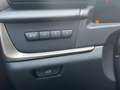 Lexus RZ Privilege Line + Dimming Panor Wit - thumbnail 22