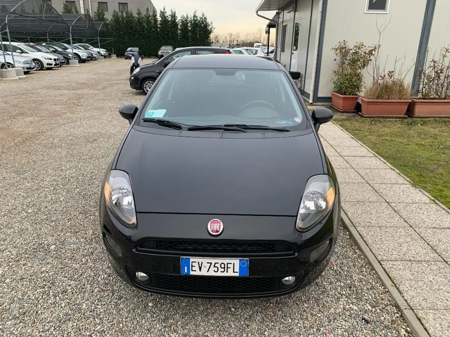 Fiat Punto 1.2 8V 5 porte Lounge Schwarz - 2