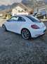 Volkswagen Beetle 1,6 TDI BMT Sky Weiß - thumbnail 1