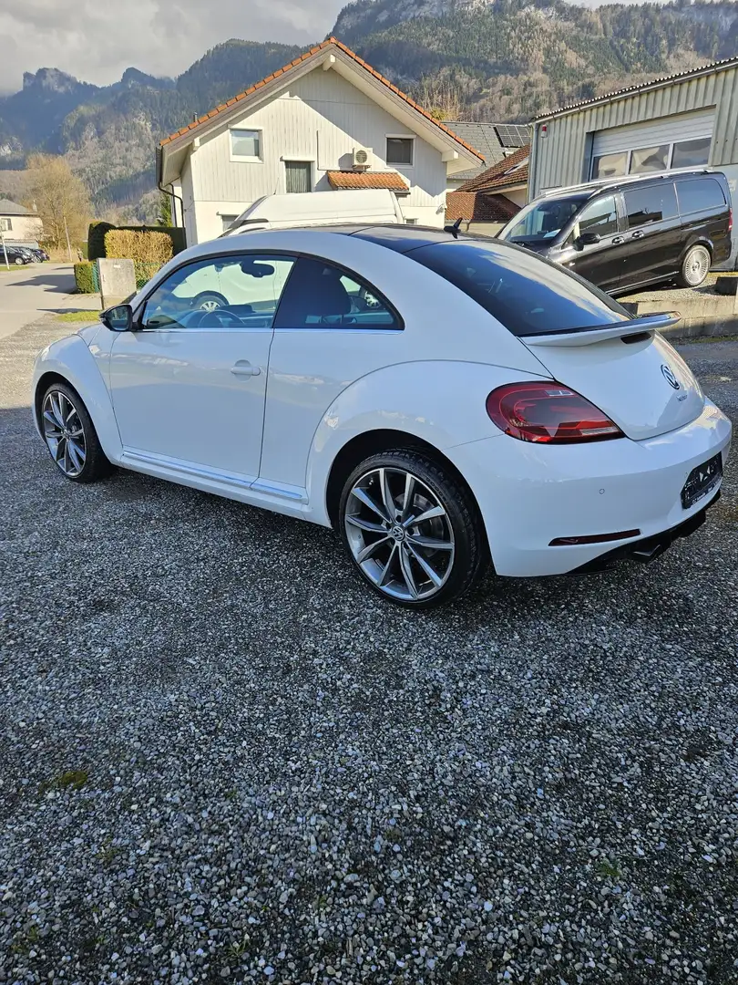 Volkswagen Beetle 1,6 TDI BMT Sky Weiß - 1