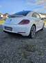 Volkswagen Beetle 1,6 TDI BMT Sky Weiß - thumbnail 3