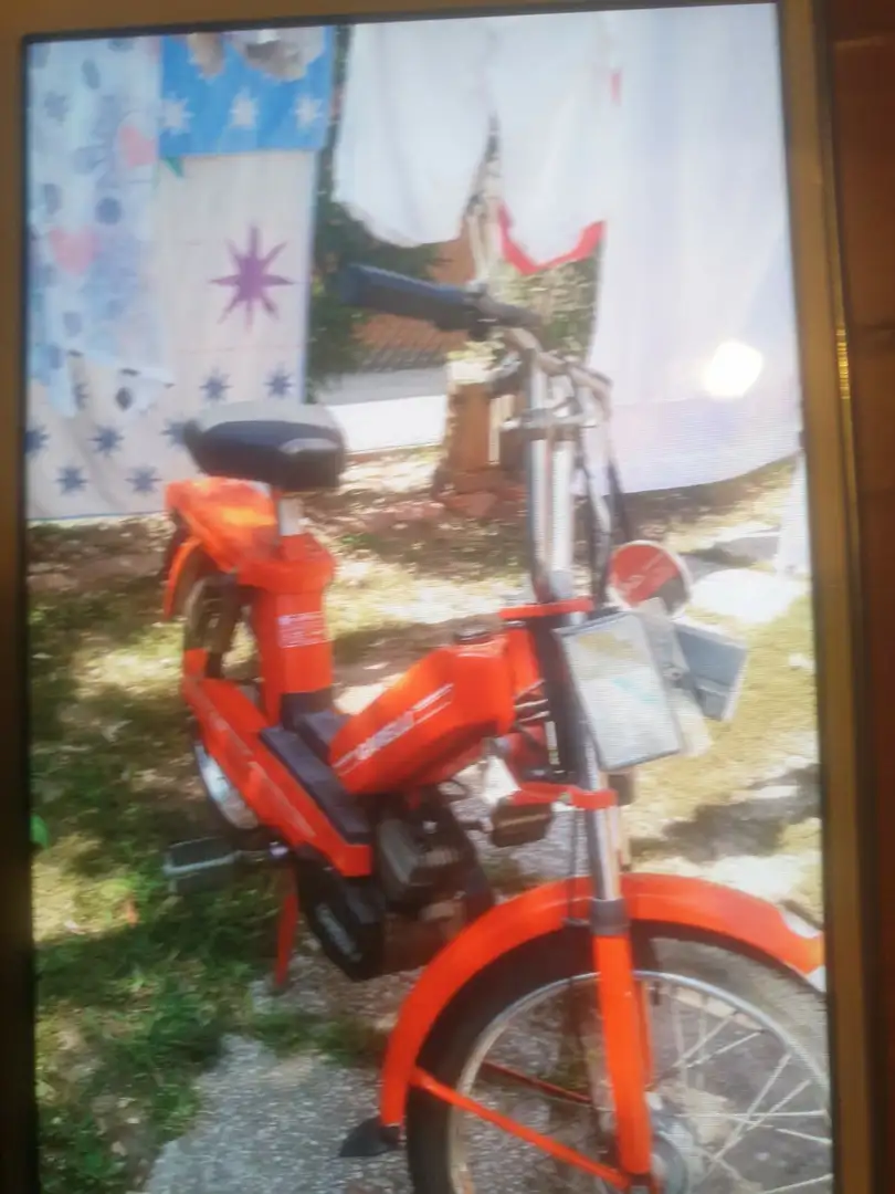 Garelli GSP 50 Rosso - 1