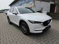 Mazda CX-5 SKYACTIVE-G 165 FWD EXCLUSIVE Navi Weiß - thumbnail 7