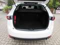 Mazda CX-5 SKYACTIVE-G 165 FWD EXCLUSIVE Navi Weiß - thumbnail 11