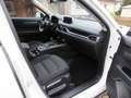 Mazda CX-5 SKYACTIVE-G 165 FWD EXCLUSIVE Navi Weiß - thumbnail 12