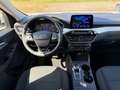 Ford Kuga 2.5 Plug-In Hybrid Cool & Connect AHK NAVI Weiß - thumbnail 14