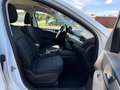 Ford Kuga 2.5 Plug-In Hybrid Cool & Connect AHK NAVI Weiß - thumbnail 11