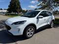 Ford Kuga 2.5 Plug-In Hybrid Cool & Connect AHK NAVI Weiß - thumbnail 2