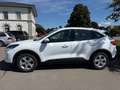 Ford Kuga 2.5 Plug-In Hybrid Cool & Connect AHK NAVI Weiß - thumbnail 3