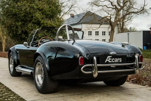Ac Cobra view 7