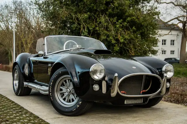 Ac Cobra view 4