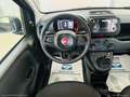 Fiat Panda PANDINA 1.0 70cv Hybrid PANDINA Black - thumbnail 11