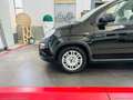 Fiat Panda PANDINA 1.0 70cv Hybrid PANDINA Black - thumbnail 15