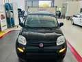Fiat Panda PANDINA 1.0 70cv Hybrid PANDINA Black - thumbnail 3