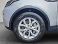 Land Rover Discovery D250 Zilver - thumbnail 24