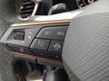 CUPRA Formentor Formentor 1.5 TSI DSG-LED-ACC-Front+SpurAssist Gris - thumbnail 8
