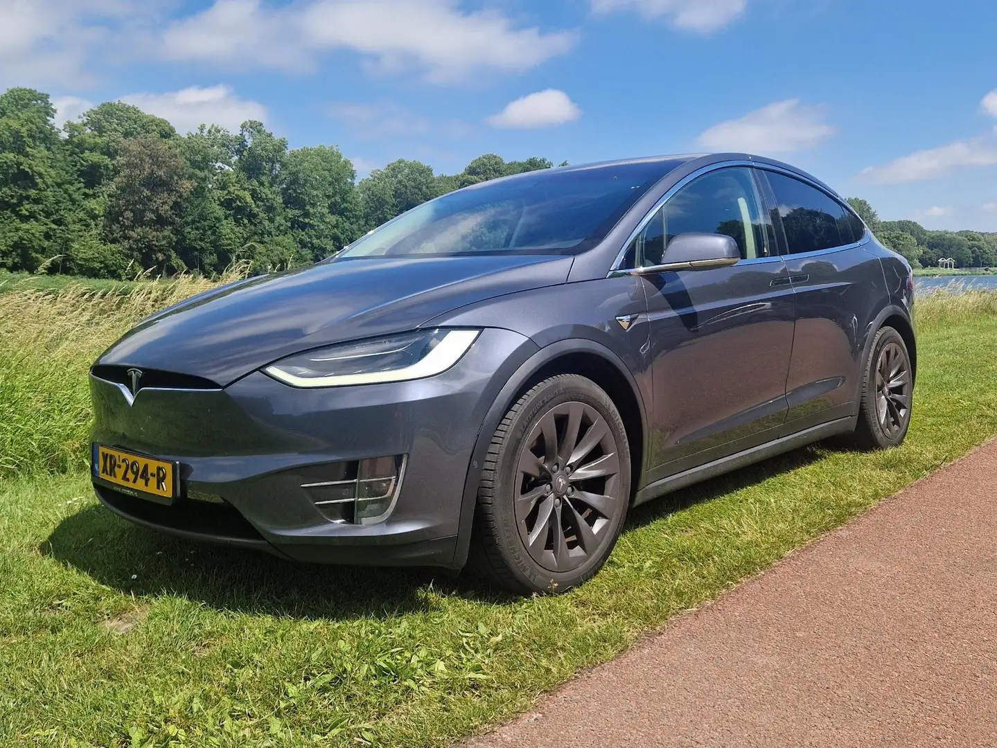 Tesla Model X Model X 100D 7p. Gris - 1