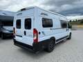 Pössl D-Line Roadcruiser Wit - thumbnail 2