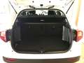Suzuki Vitara 1.4 Hybrid Cool Bianco - thumbnail 7