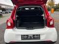 smart forFour Passion 66kW*Navi*JBL*Kamera*Pano*Sport Weiß - thumbnail 12