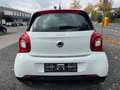 smart forFour Passion 66kW*Navi*JBL*Kamera*Pano*Sport Weiß - thumbnail 20