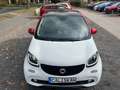 smart forFour Passion 66kW*Navi*JBL*Kamera*Pano*Sport Weiß - thumbnail 19