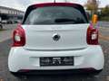 smart forFour Passion 66kW*Navi*JBL*Kamera*Pano*Sport Weiß - thumbnail 6