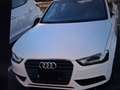 Audi A4 A4 Avant 2.0 tdi Business Plus 177cv Weiß - thumbnail 1