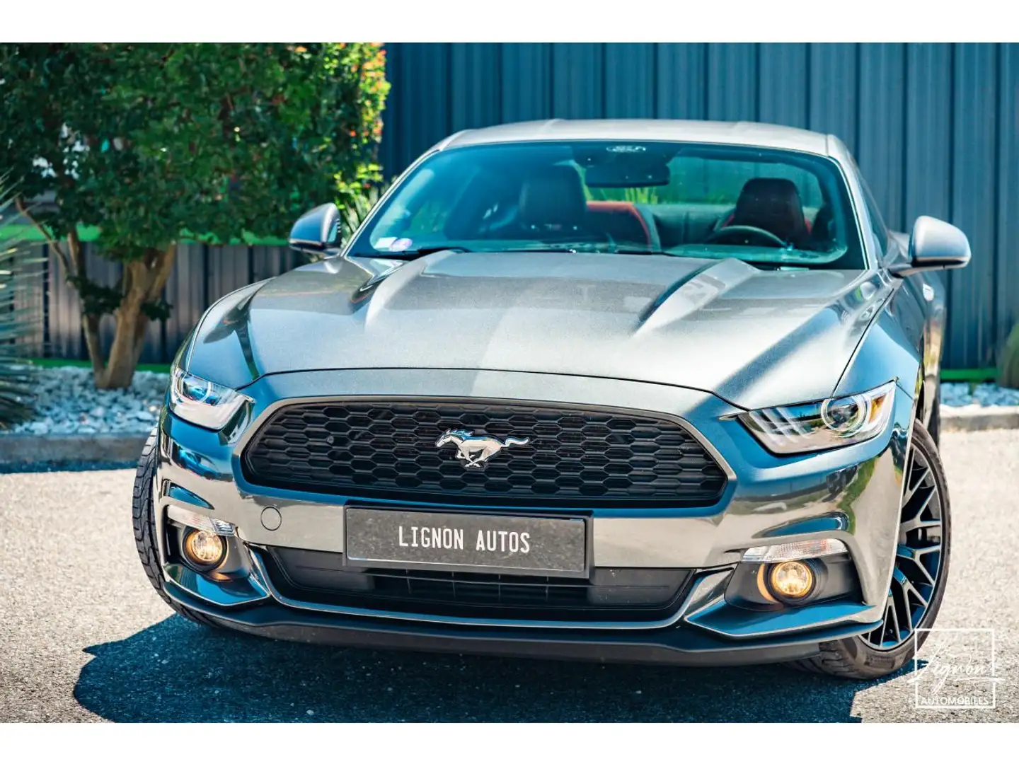 Ford Mustang Ecoboost 2.3L 317 ch BVM6 - CAMERA Szürke - 2